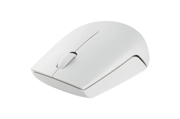 Mysz Bezprzewodowa Lenovo 300 jasno-szara (GY51L15677)