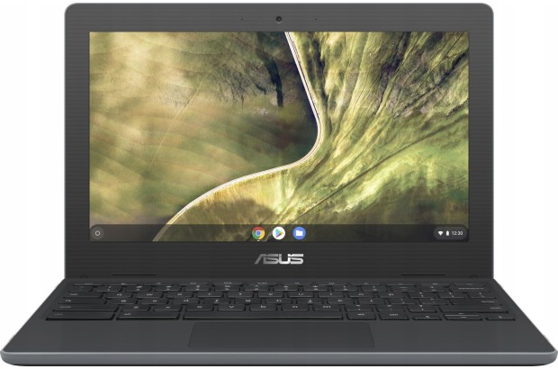 Laptop Asus Chromebook C204MA-GJ0243 4GB 32GB 11,6" HD 90NX02A1-M02920
