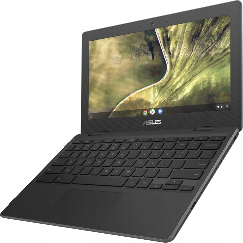 Laptop Asus Chromebook C204MA-GJ0243 4GB 32GB 11,6" HD 90NX02A1-M02920