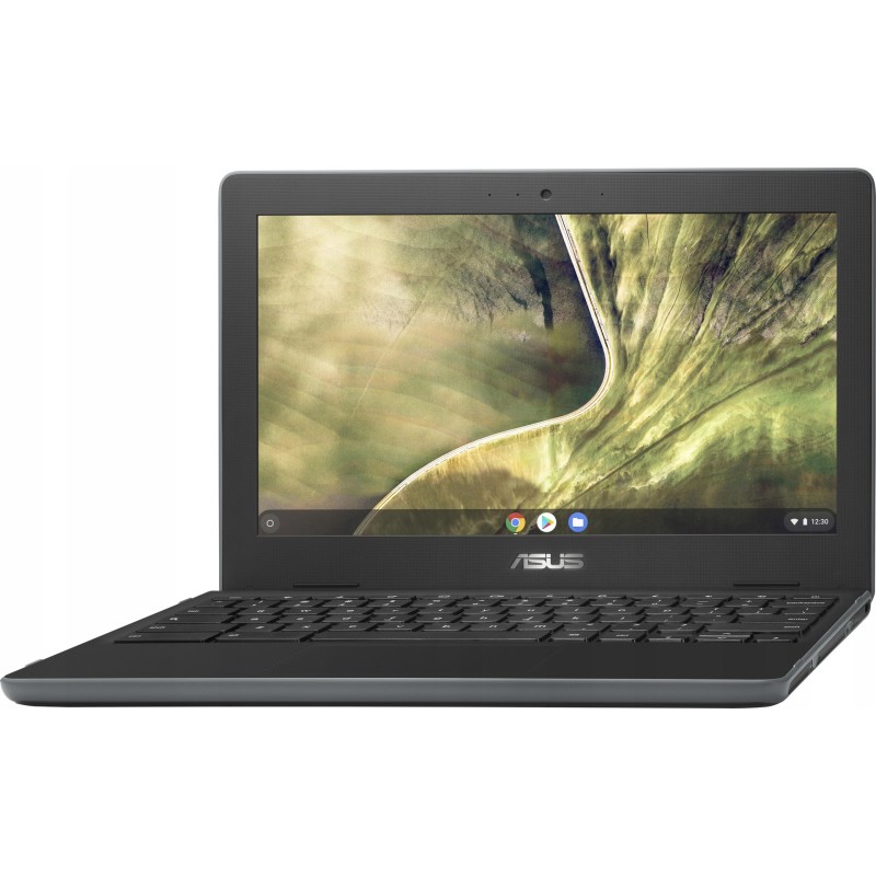 Laptop Asus Chromebook C204MA-GJ0243 4GB 32GB 11,6" HD 90NX02A1-M02920