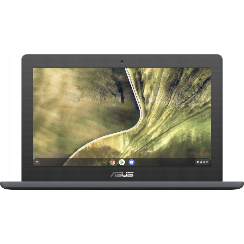 Laptop Asus Chromebook C204MA-GJ0243 4GB 32GB 11,6" HD 90NX02A1-M02920