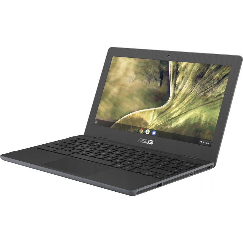 Laptop Asus Chromebook C204MA-GJ0243 4GB 32GB 11,6" HD 90NX02A1-M02920