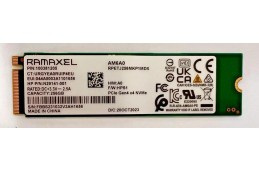 Dysk SSD RAMAXEL 256GB 2280...