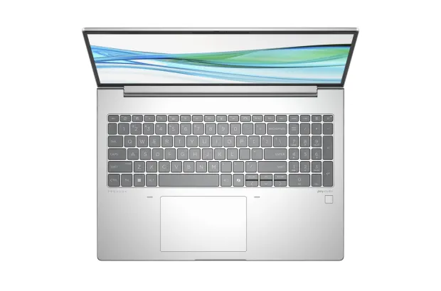 Biznesowy Laptop HP ProBook 465 G11 / AD1J1ET / AMD Ryzen 5 / 32GB / SSD 1TB / AMD Radeon / WUXGA / Win 11 Home