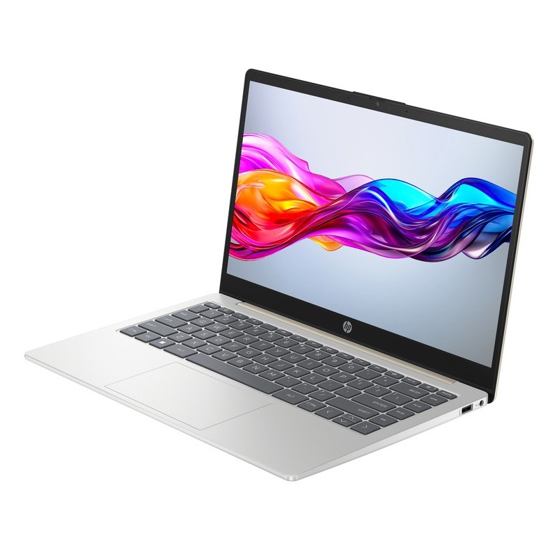 Laptop HP 14-ep1063cl / 9R8T2UA / Intel Core 3-100U / 32GB / SSD 1TB / Intel UHD / FullHD / Win 11 Pro / Srebrny