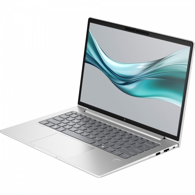 Laptop HP EliteBook 645 G11 14 " AMD Ryzen 5 16 GB / 512 GB srebrny