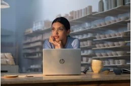 Laptop HP ProBook 4 G1a 14 AI / C51G0ET / Ryzen 5 / 16GB / SSD 512GB / Radeon 740M / WUXGA / Win 11 Pro / Srebrny