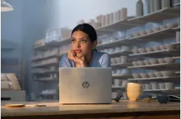 Laptop HP ProBook 4 G1i 14 / C51N0ET / Ultra 7 / 16GB / SSD 512GB / Intel Arc / WUXGA / Win 11 Pro / Srebrny