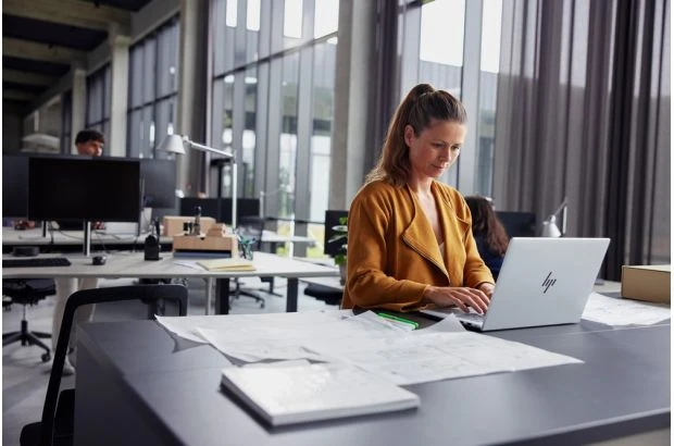 Biznesowy Laptop HP EliteBook 645 G11 / AQ8X0EC / Ryzen 5 PRO / 24GB / 512GB / AMD Radeon / WUXGA / Win 11 Pro / Srebrny