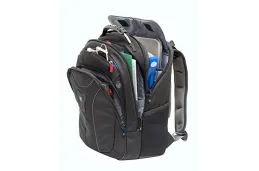 Plecak biznesowy z kieszenią na laptopa do 17,3" Wenger Carbon (600637)