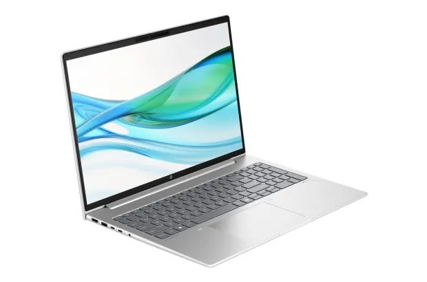 Laptop Biznesowy HP ProBook 465 G11 / A1RM7UT / Ryzen 5 / 32GB / 1TB / AMD Radeon / WUXGA / Win 11 Pro / Srebrny