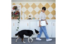 Laptop HP EliteBook 650 G9 / 6F2L4EA / Intel i5-12 / 16GB / SSD 512GB / Intel Xe / FullHD / Win 11 Pro / Srebrny