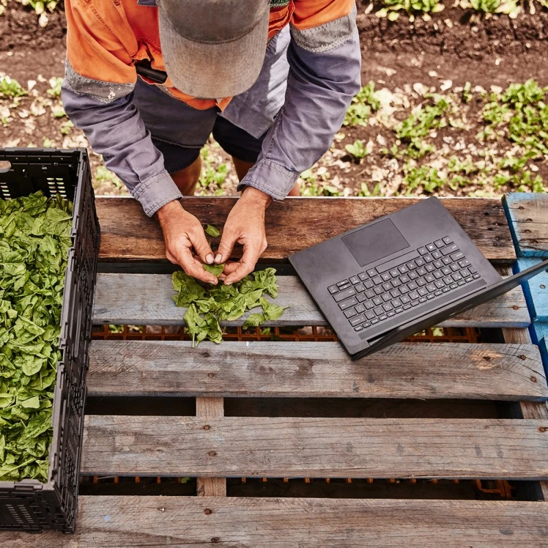 Laptop HP 240 G9 / 854A1ES / Intel i3-12 / 16GB / SSD 256GB / Intel Xe / FullHD / Win 11 Pro / Czarny