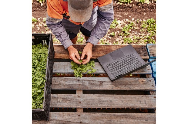 Laptop HP 240 G9 / 854A1ES / Intel i3-12 / 16GB / SSD 256GB / Intel Xe / FullHD / Win 11 Pro / Czarny