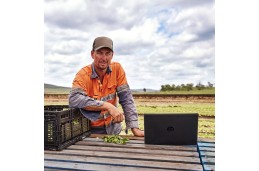 Laptop HP 240 G9 / 854A1ES / Intel i3-12 / 16GB / SSD 256GB / Intel Xe / FullHD / Win 11 Pro / Czarny